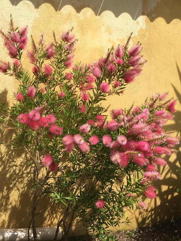 הייר Le Verger De Sauvebonne מראה חיצוני תמונה